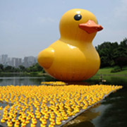 inflatable baby bath duck